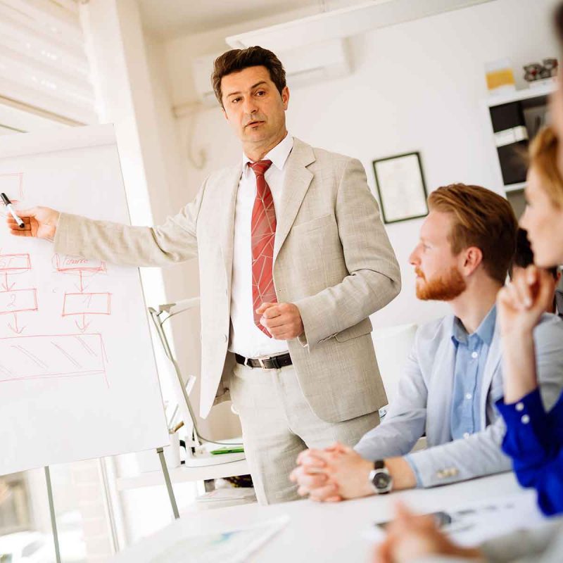 business-plan-explained-on-flipchart-E6CD7XV.jpg